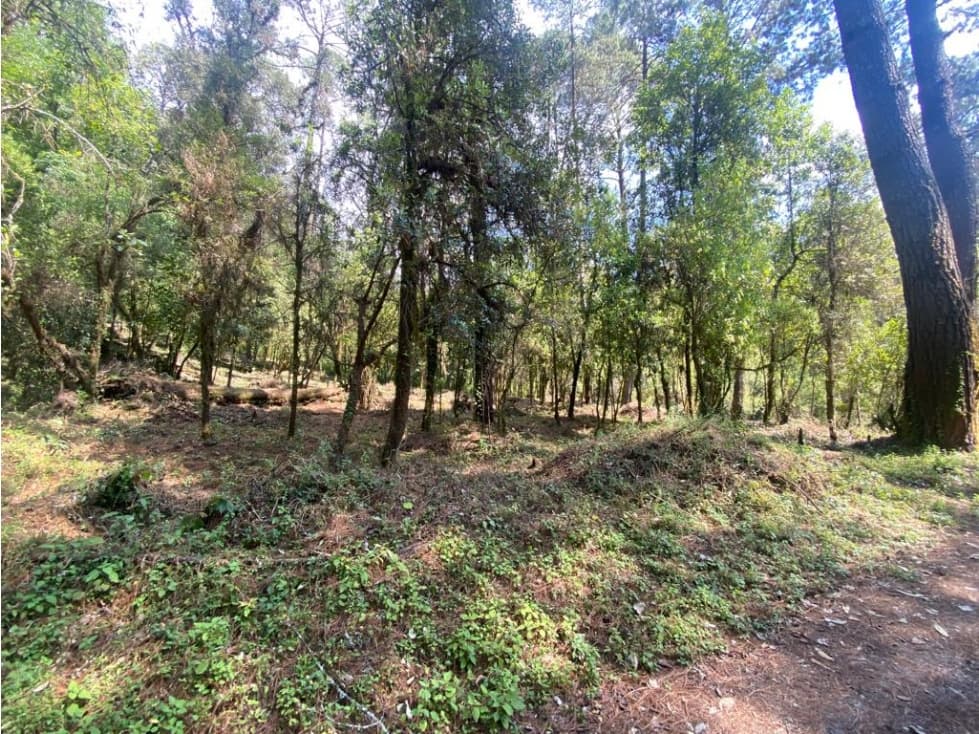 TERRENO RANCHO SAN SIMÓN, LOTE 33 — foto 2