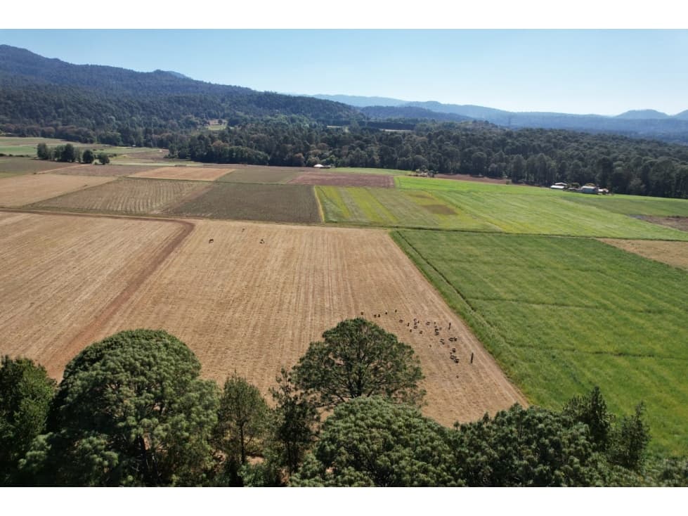 TERRENO EN VENTA EN ACATITLÁN, VALLE DE BRAVO — foto 5