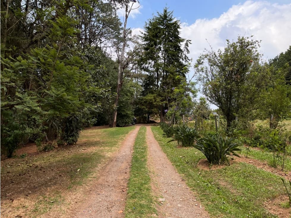 TERRENO EN VENTA, VALLE DE BRAVO, MESA DE JAIMES — foto 3