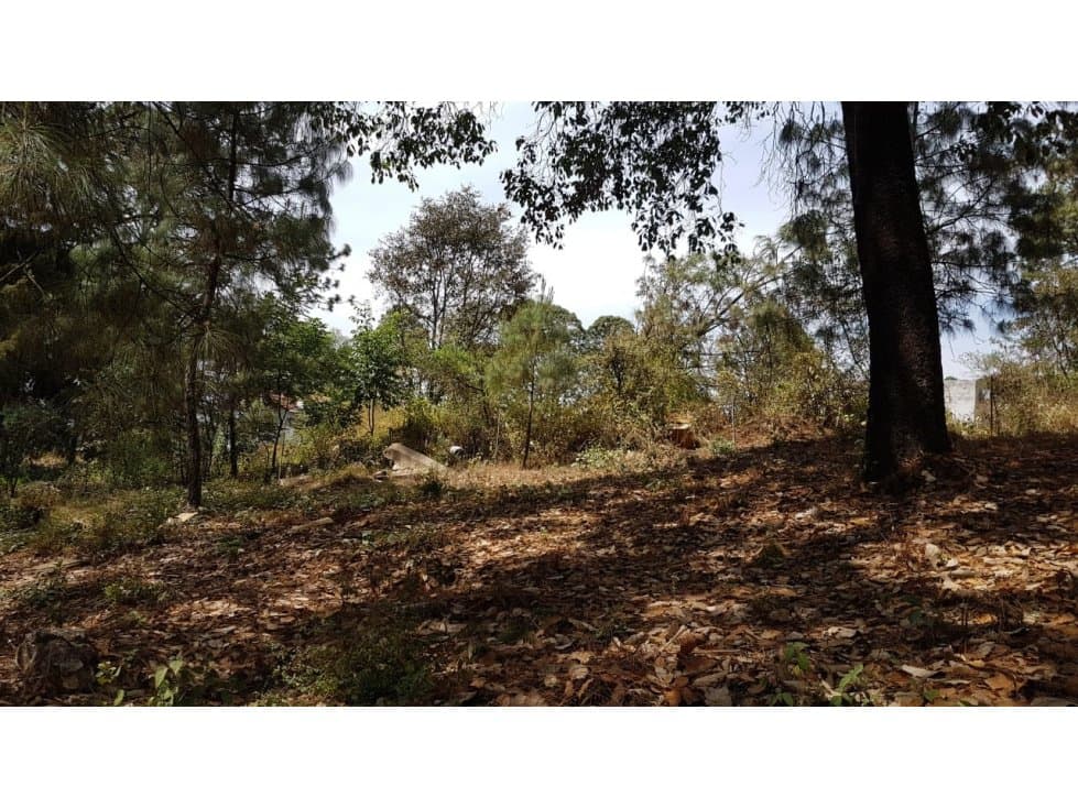 TERRENO CASAS VIEJAS — foto 5