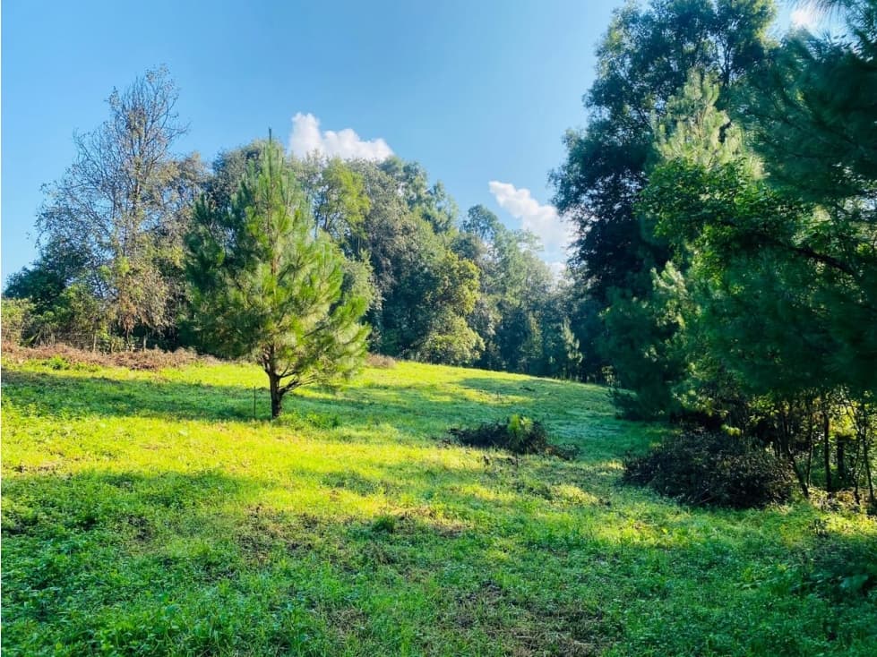 TERRENO SAN SIMON LOTE 1 — foto 6