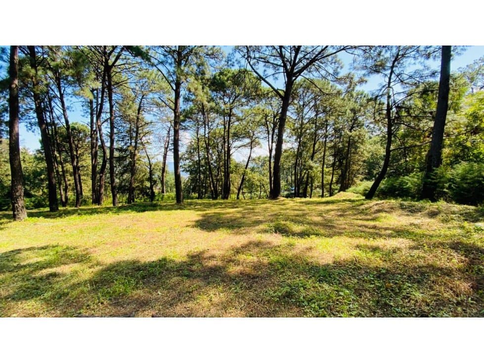TERRENO BOSCOSO EN VENTA AVANDARO — foto 1