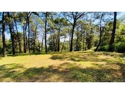 TERRENO BOSCOSO EN VENTA AVANDARO