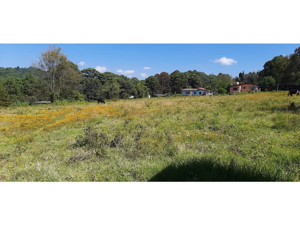 TERRENO EN RENTA LAS JOYAS — foto 4
