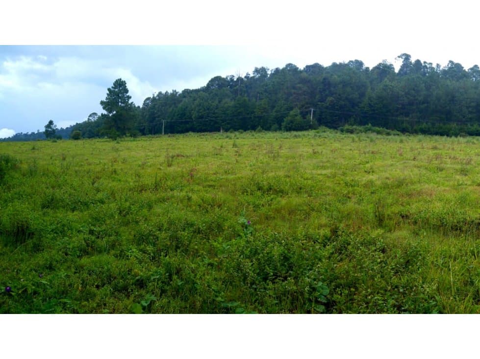 TERRENO MESA RICA LOTE 2 — foto 2