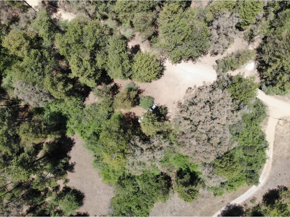 RANCHO EL CARRIZAL — foto 6