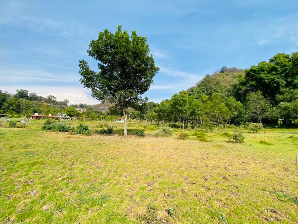 TERRENO EL SALTO, LOTE 34 — foto 6