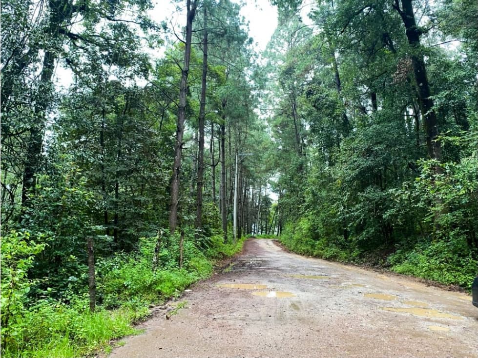 TERRENO VENTA CERRO GORDO — foto 6