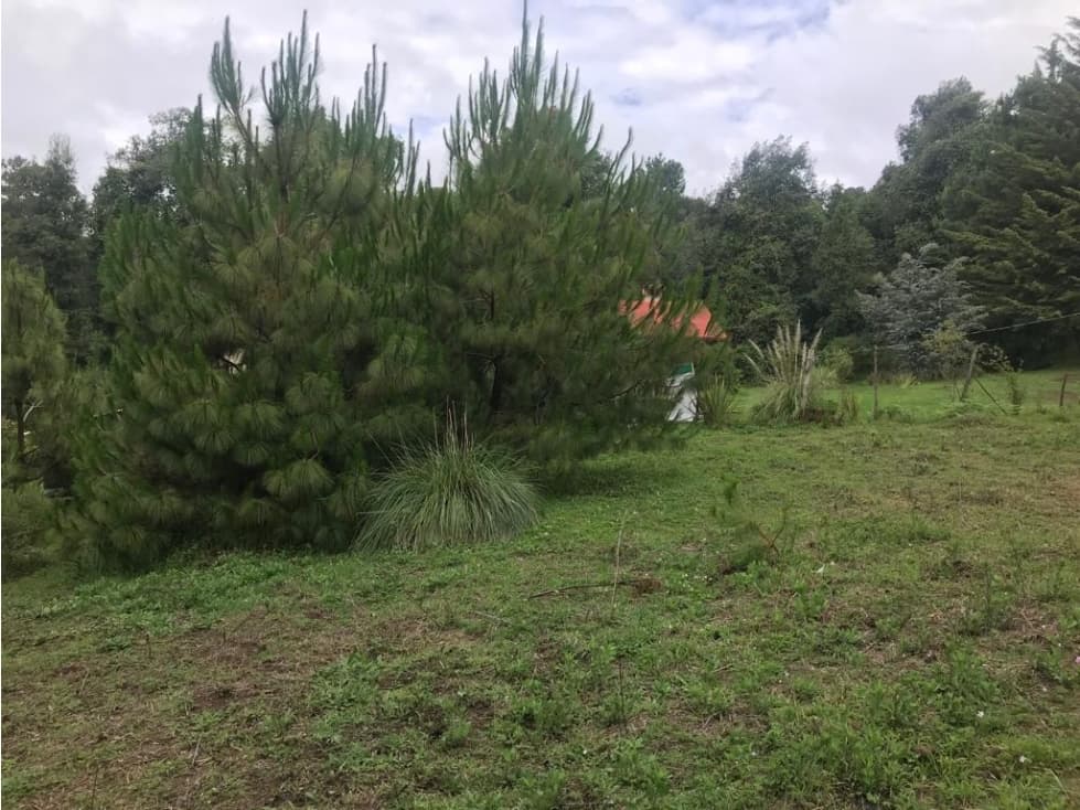 TERRENO LAS MESAS, VALLE DE BRAVO — foto 6