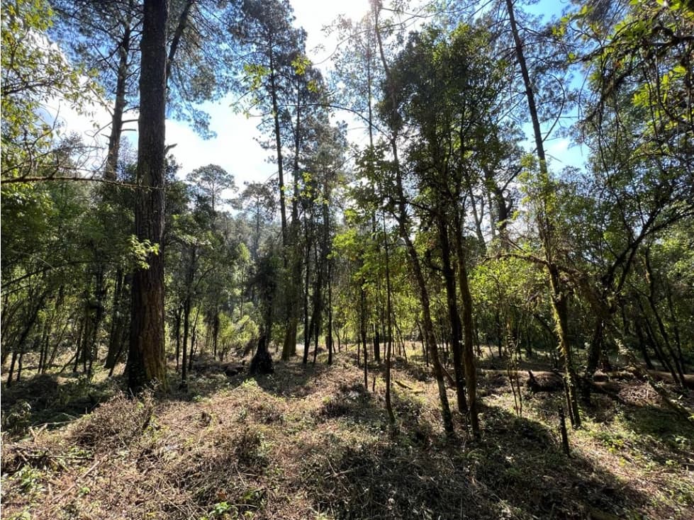 TERRENO RANCHO SAN SIMÓN, LOTE 33 — foto 6