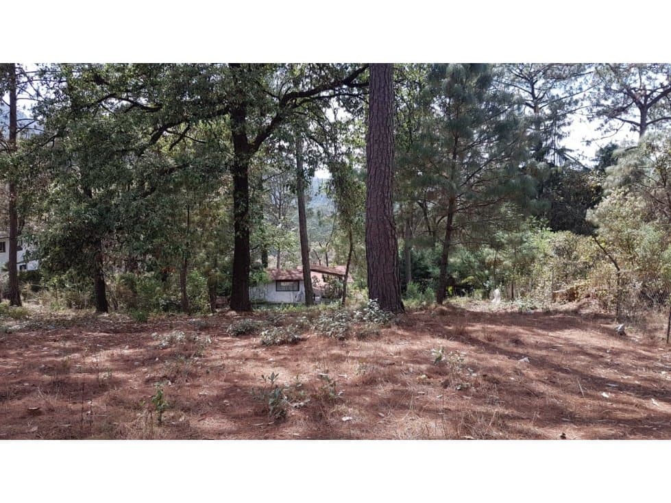 TERRENO CASAS VIEJAS — foto 6