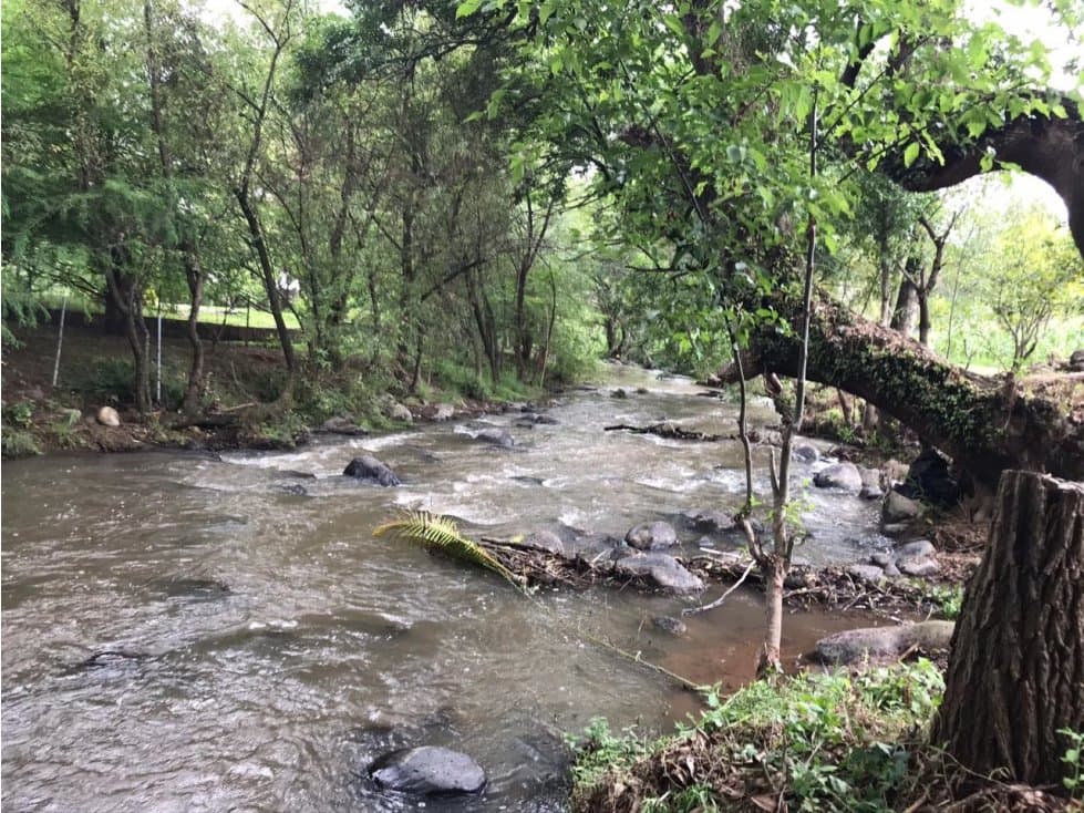 TERRENO EL RIÓ TILOXTOC I — foto 6