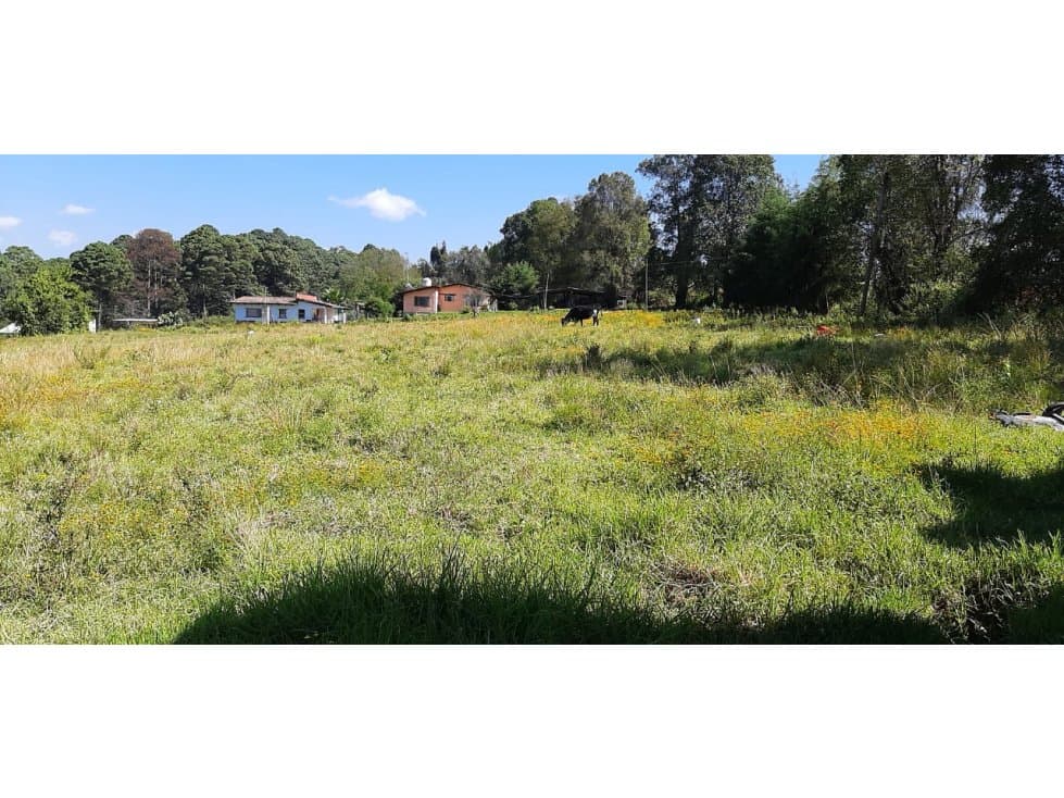 TERRENO EN RENTA LAS JOYAS — foto 6