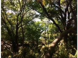 TERRENO EN RENTA EN EL PUEBLO