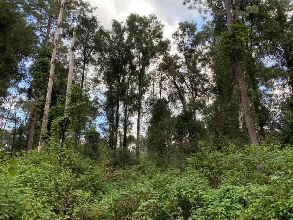 LA JOYA DE LOS CAMINOS — foto 1
