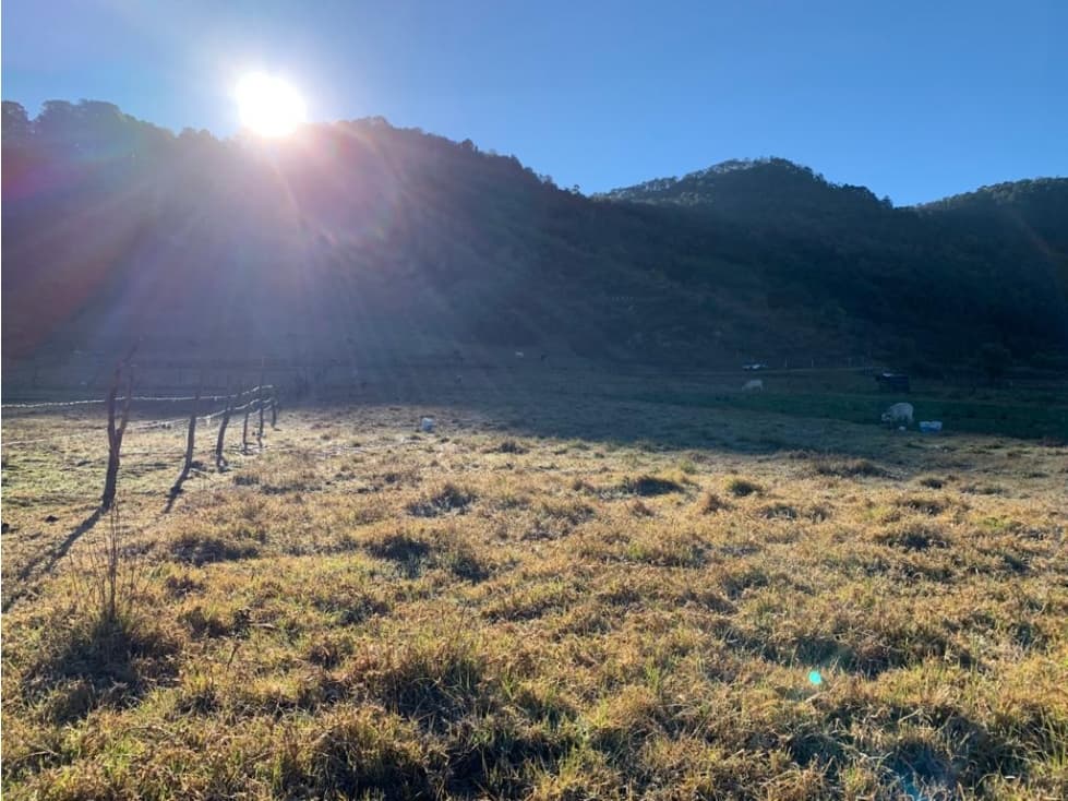 TERRENO EN VENTA, SAN JUAN ATEZCAPAN, VALLE DE BRAVO — foto 6