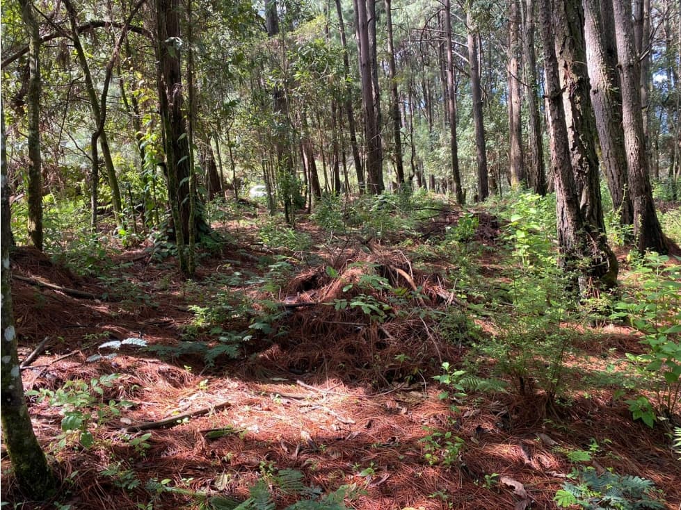 TERRENO EN VENTA PEÑA BLANCA, VALLE DE BRAVO — foto 4