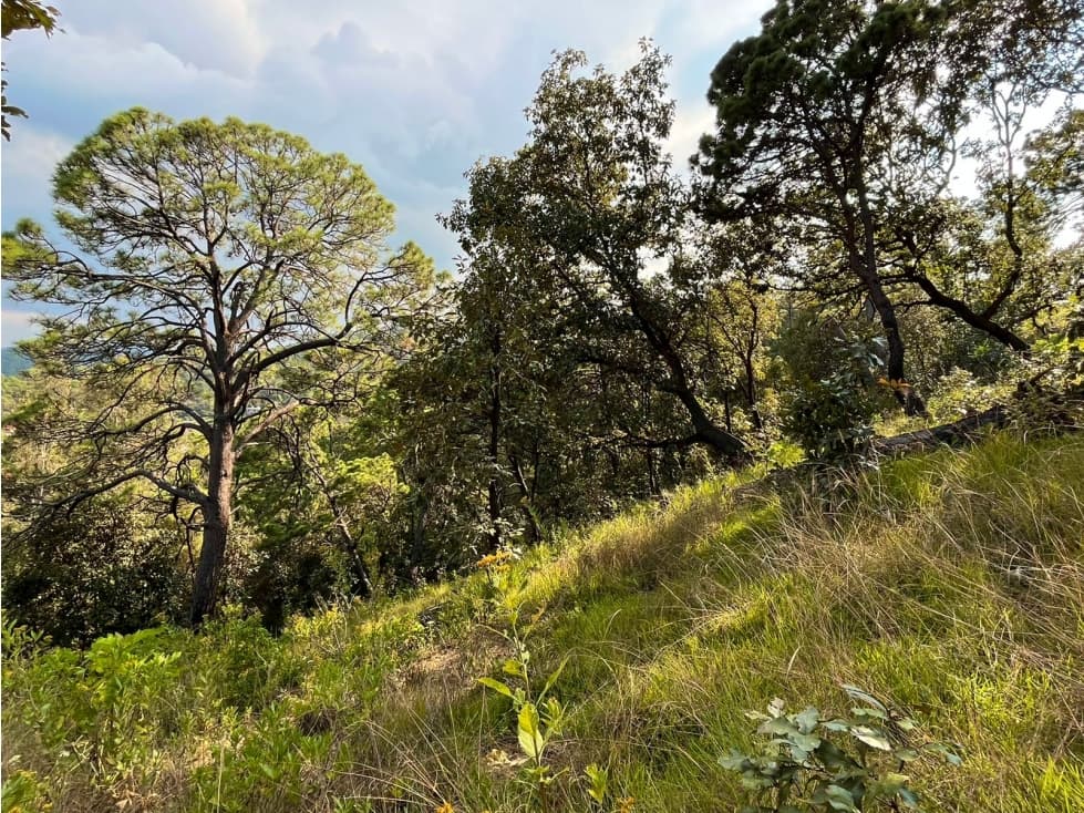 TERRENO EN VENTA EN EL CERRILLO, VALLE DE BRAVO — foto 2
