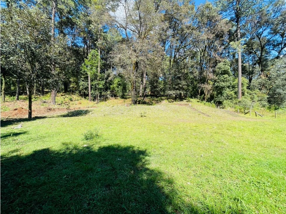 TERRENO RANCHO AVANDARO — foto 5