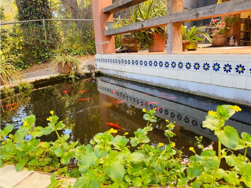 TERRENO EN VENTA  A 10 MINUTOS DE AVANDARO — foto 2