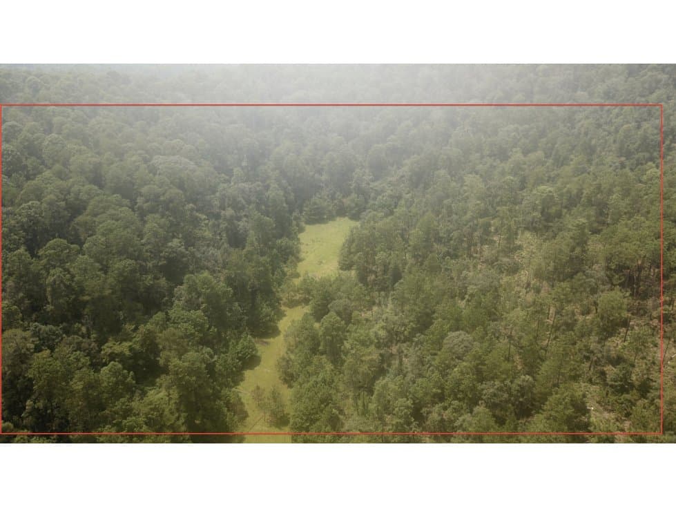TERRENO PINAL DE OSORIO — foto 5