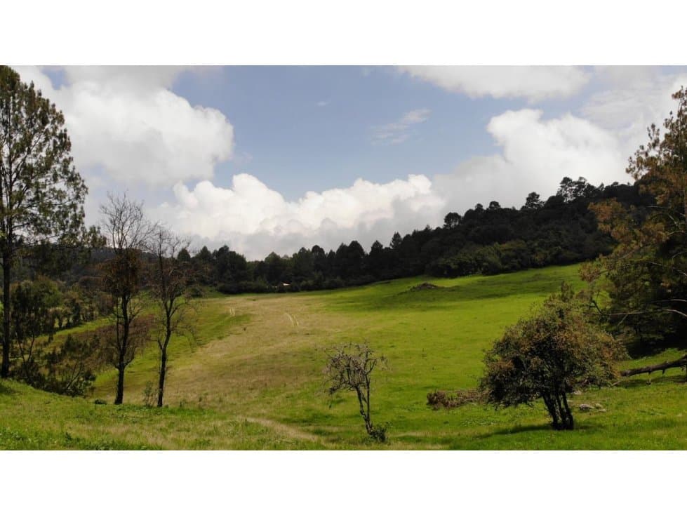 RANCHO SAN JOSE POTRERILLOS — foto 6