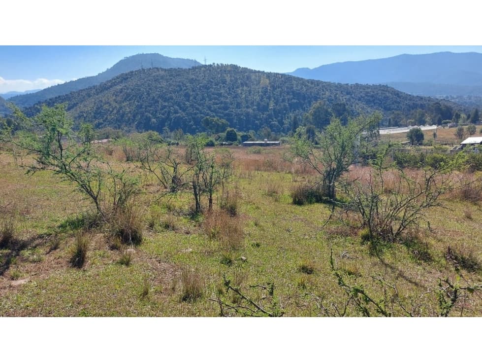 TERRENO EN VENTA EN TILOXTOC CERCA DE VALLE DE BRAVO — foto 5