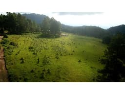 TERRENO MESA RICA LOTE 1