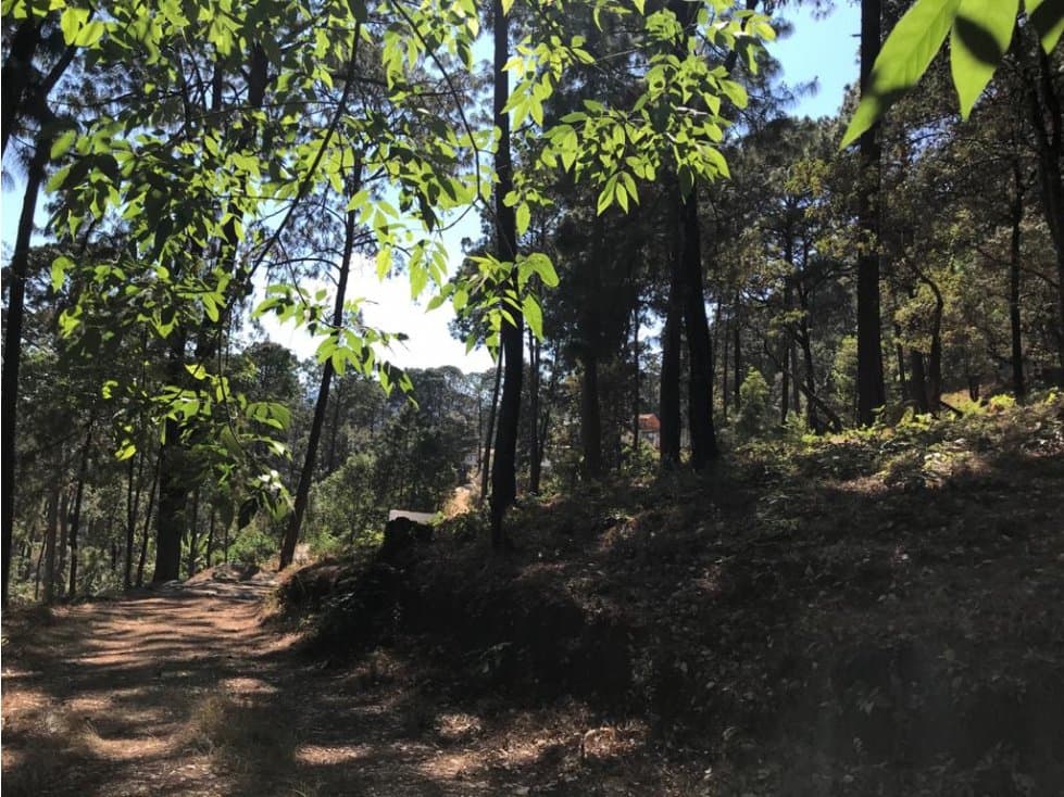 VEGA DE LA MONTAÑA 1 — foto 1