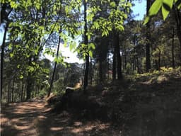 VEGA DE LA MONTAÑA 1