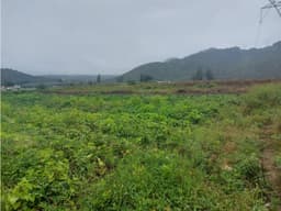 TERRENO EN VENTA TILOXTOC, VALLE DE BRAVO
