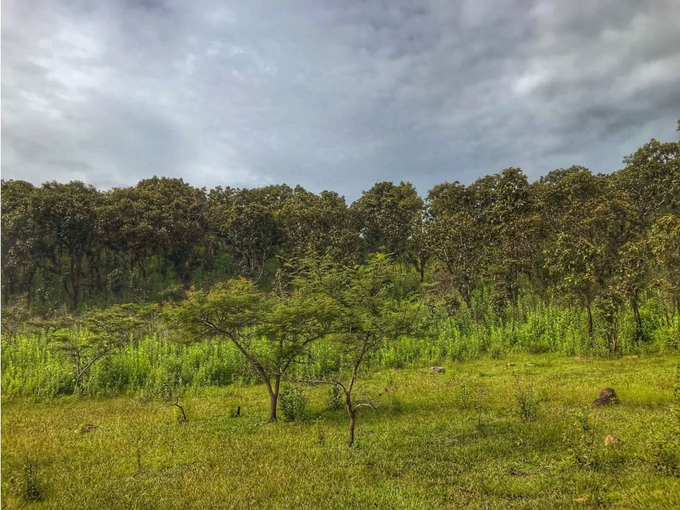 TERRENO EN VENTA, LA BOQUILLA, VALLE DE BRAVO — foto 5