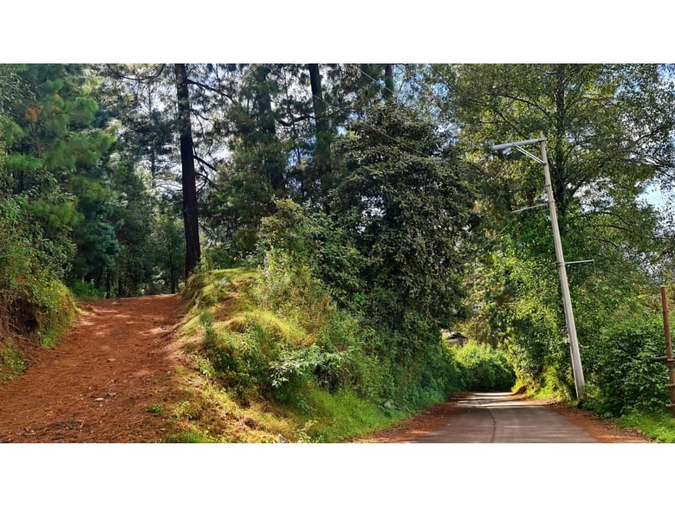TERRENO RODEADO DE BOSQUE EN AMANALCO — foto 2