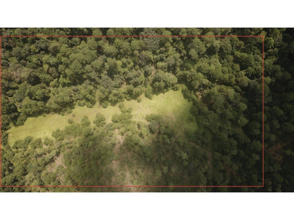 TERRENO PINAL DE OSORIO — foto 2
