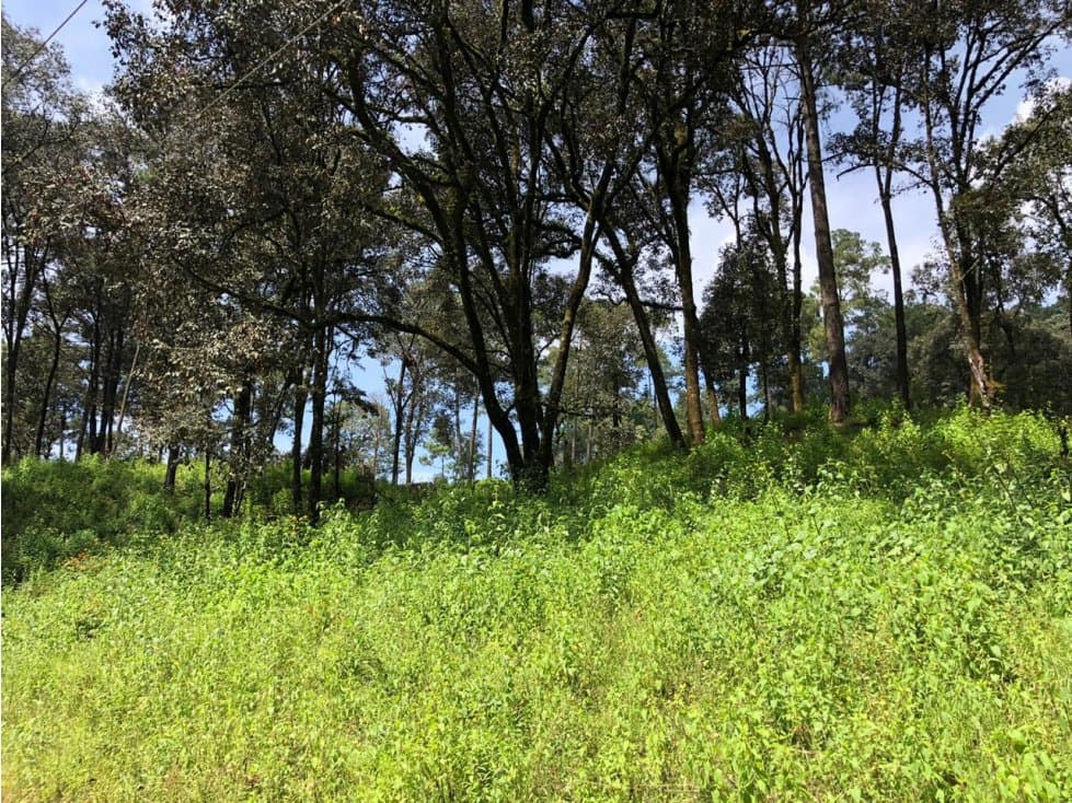 TERRENO SAN SIMÓN — foto 2