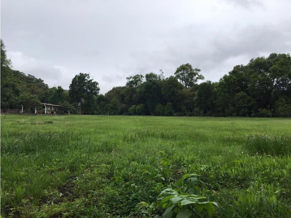 TERRENO EL RIO TILOXTOC II — foto 6