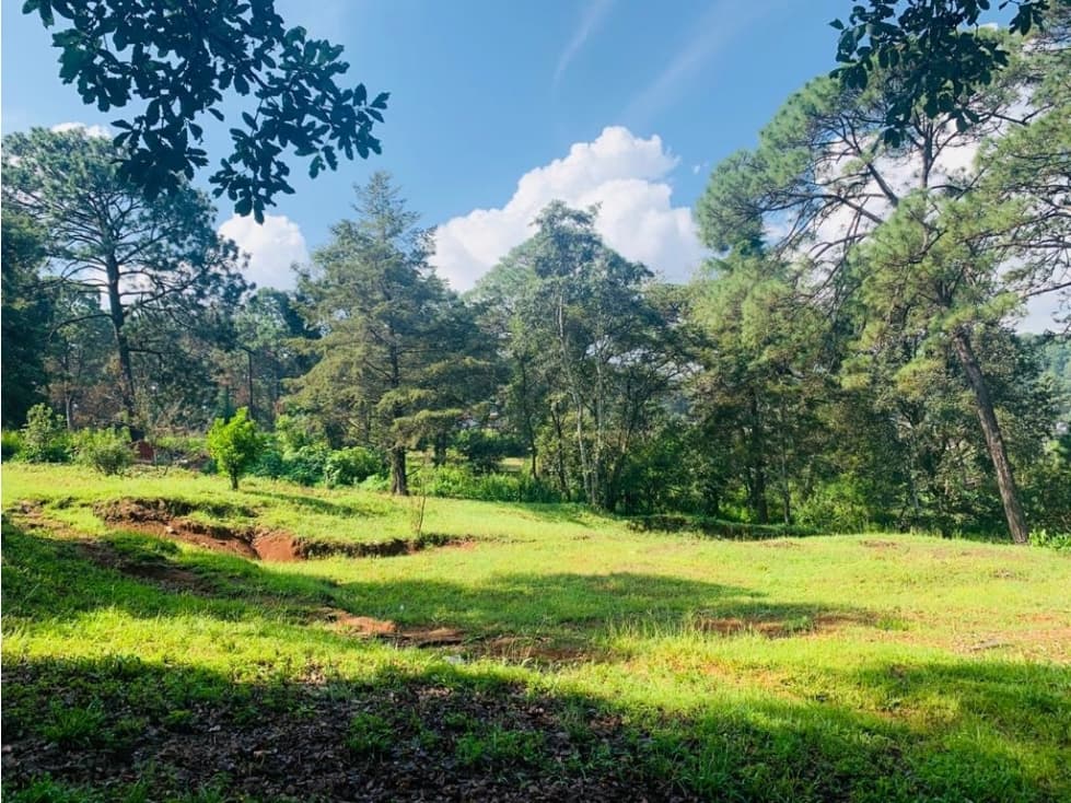 TERRENO EL PEDREGAL, AVANDARO — foto 4