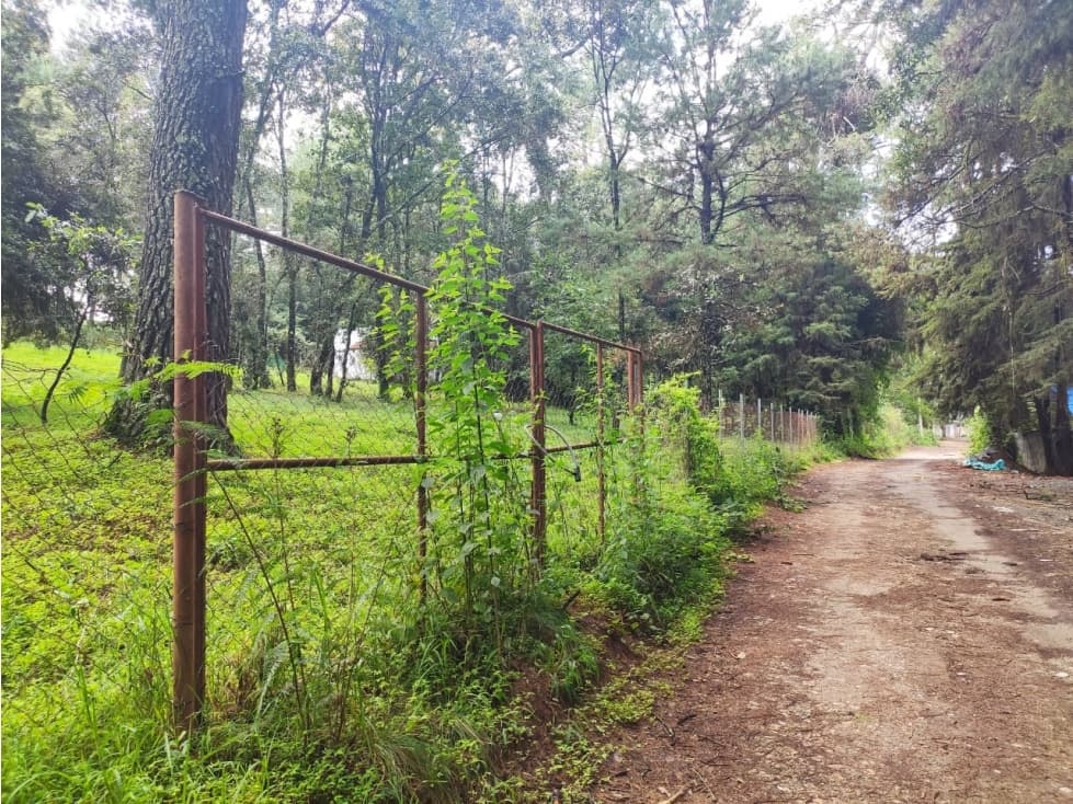 TERRENO EN ACATITLAN — foto 2