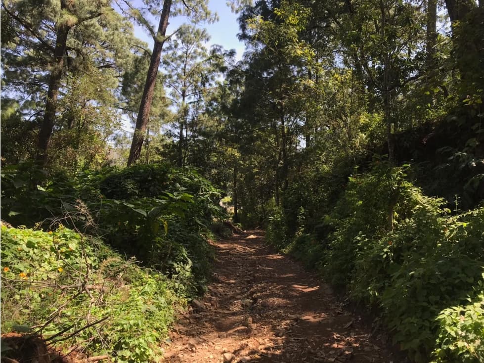 TERRENO RESIDENCIAL EN AVANDARO — foto 1