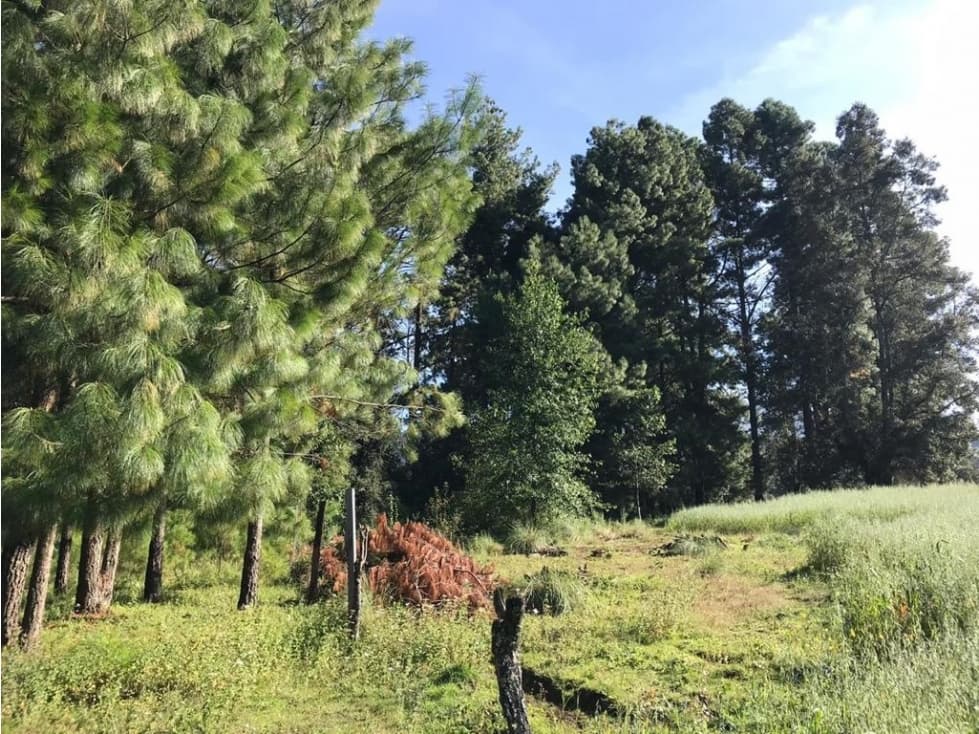 TERRENO LOS SAUCOS EN VENTA — foto 2