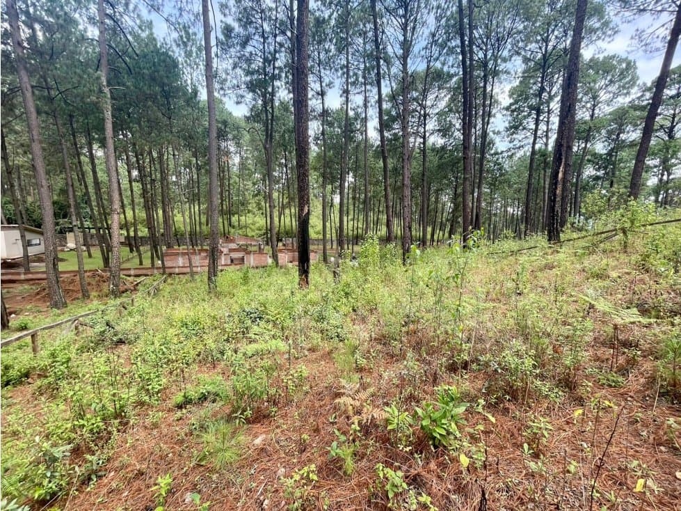 TERRENO EN VENTA CERRO GORDO — foto 3