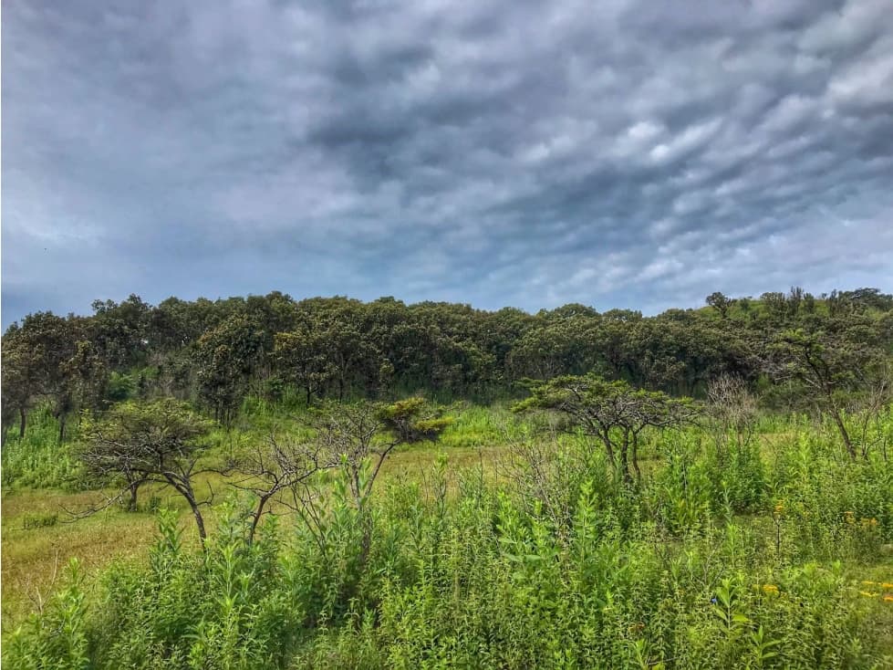 TERRENO EN VENTA, LA BOQUILLA, VALLE DE BRAVO — foto 3