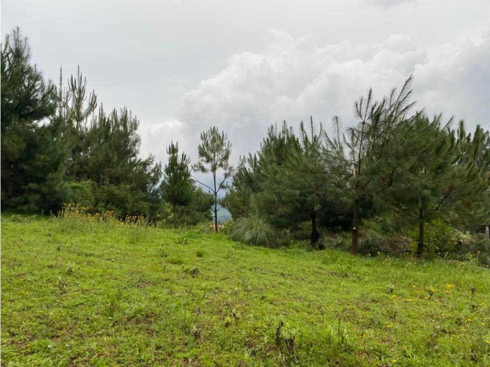 TERRENO LAS MESAS, VALLE DE BRAVO — foto 1
