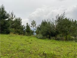TERRENO LAS MESAS, VALLE DE BRAVO