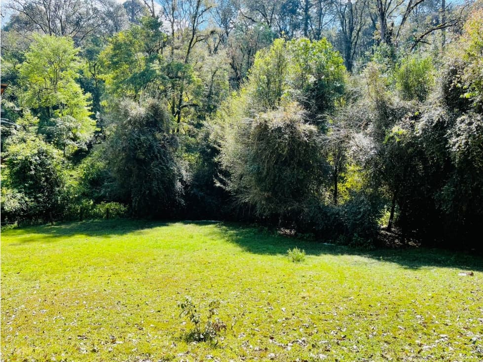 TERRENO RANCHO AVANDARO — foto 2