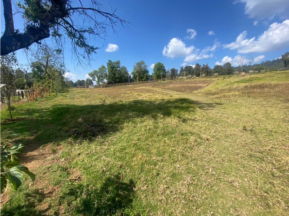 TERRENO EN VENTA SAN SIMÓN, VALLE DE BRAVO — foto 4