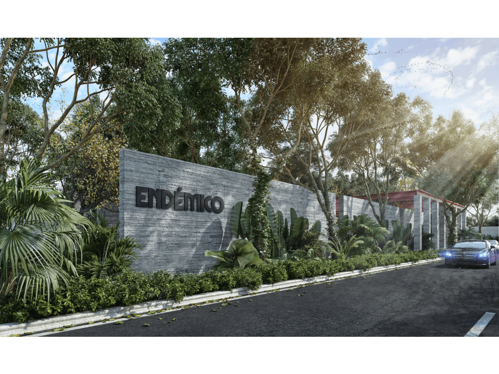 TERRENOS DE LUJO EN FRACC PRIVADO "ENDEMICO", MERIDA YUCATAN — foto 1