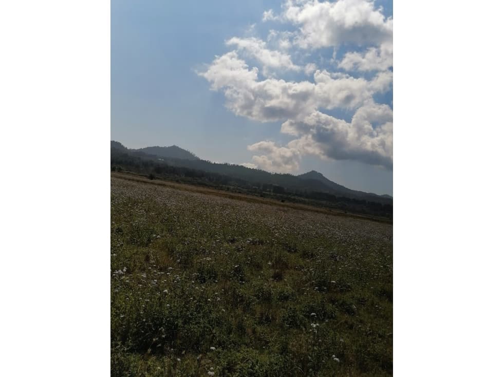 Venta de Terreno en Mesa Rica — foto 2