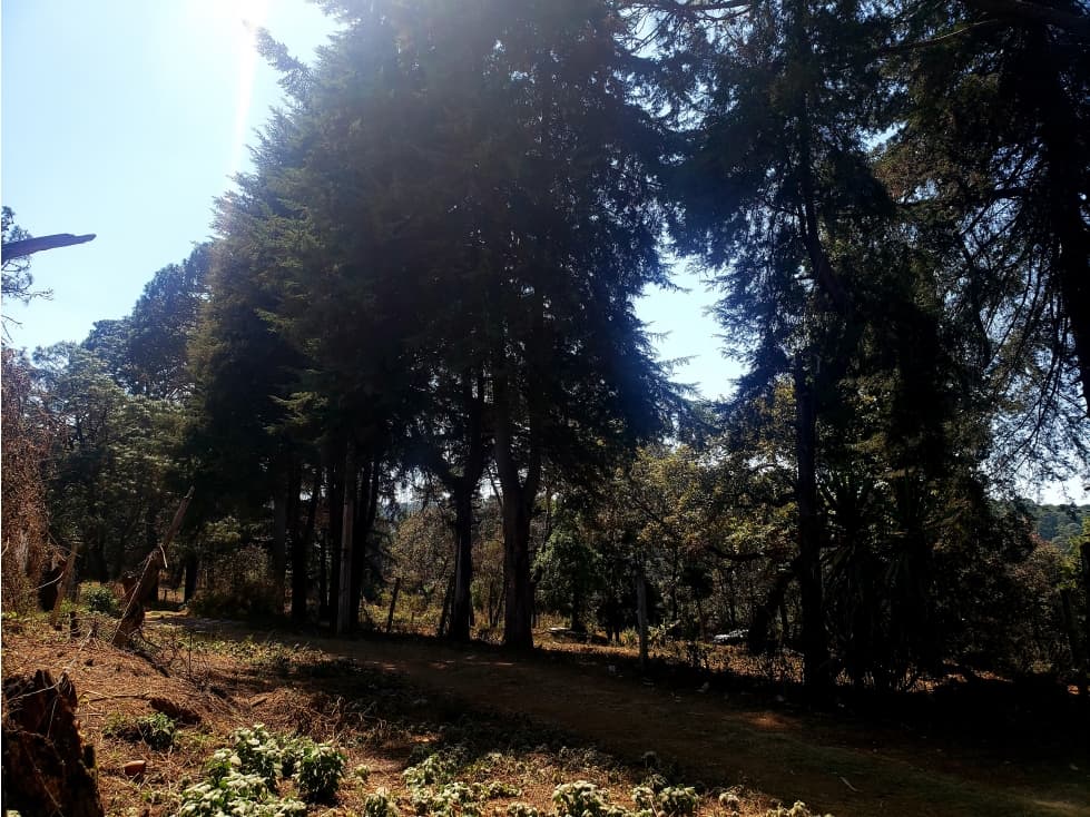 Terreno en venta en El Pedregal, Avándaro, Valle de Bravo — foto 3
