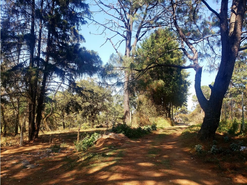 Terreno en venta en El Pedregal, Avándaro, Valle de Bravo — foto 5